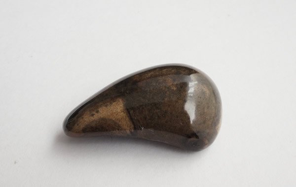 クジラの耳骨の化石 Fossil Whale Middle Ear Bone(Tympanic Bulla