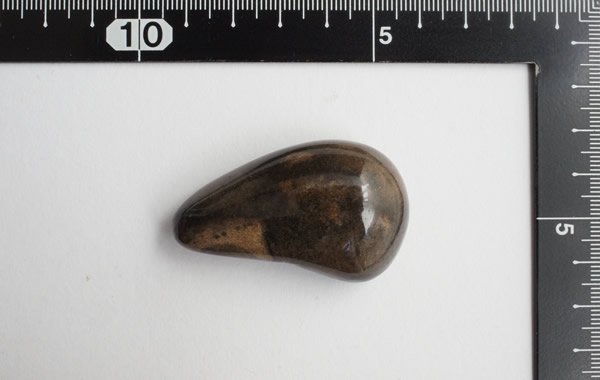 クジラの 耳の骨の化石 特大 - 置物、オブジェ