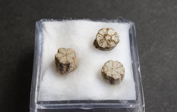 桜石 Cerasite - greenfloat