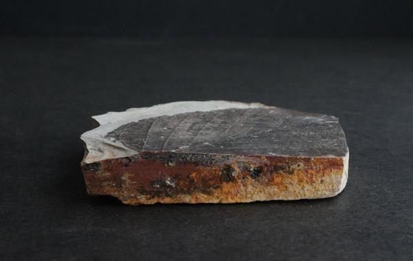 木の葉の化石 Fossil Leaf - greenfloat