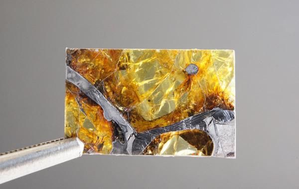 フカン隕石 Fukang - greenfloat