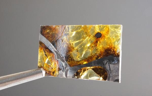 専用ページです。フカン隕石　FUKANG隕石　166g　訳あり 専用ページです。フカン隕石 FUKANG隕石 166g 訳あり - メルカリ