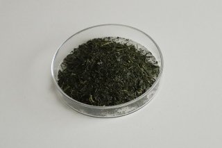 緑茶　5g