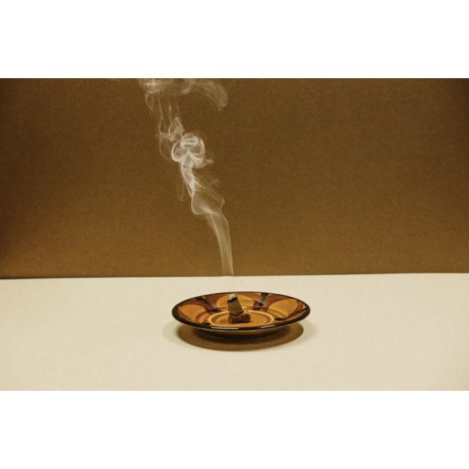 <img class='new_mark_img1' src='https://img.shop-pro.jp/img/new/icons7.gif' style='border:none;display:inline;margin:0px;padding:0px;width:auto;' />TRIBE EARTH Incense Plank - Bushwalk