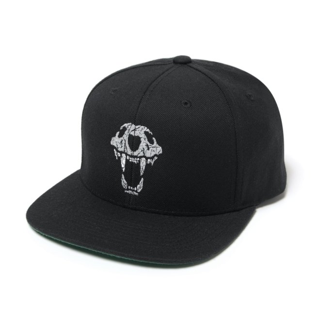 <img class='new_mark_img1' src='https://img.shop-pro.jp/img/new/icons7.gif' style='border:none;display:inline;margin:0px;padding:0px;width:auto;' />Back Channel SKULL LION SNAP BACK 1
