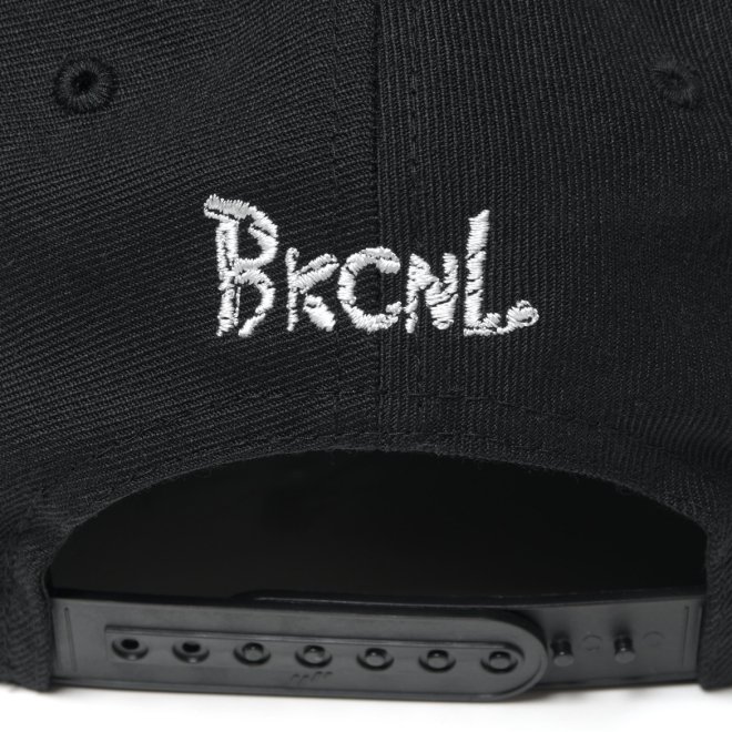 <img class='new_mark_img1' src='https://img.shop-pro.jp/img/new/icons7.gif' style='border:none;display:inline;margin:0px;padding:0px;width:auto;' />Back Channel SKULL LION SNAP BACK