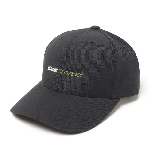 <img class='new_mark_img1' src='https://img.shop-pro.jp/img/new/icons7.gif' style='border:none;display:inline;margin:0px;padding:0px;width:auto;' />Back Channel OFFICIAL LOGO SNAPBACK