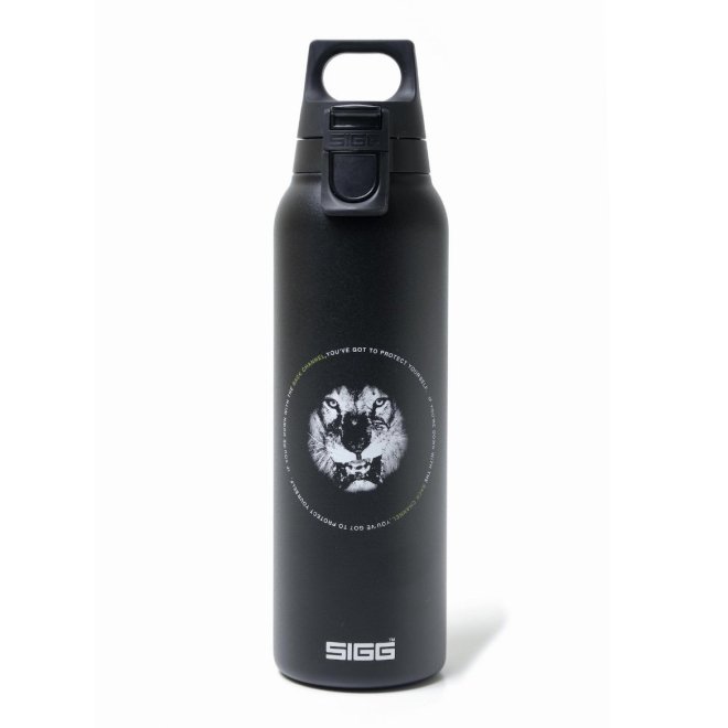 <img class='new_mark_img1' src='https://img.shop-pro.jp/img/new/icons7.gif' style='border:none;display:inline;margin:0px;padding:0px;width:auto;' />Back Channel SIGG HOT&COLD ONE LIGHT