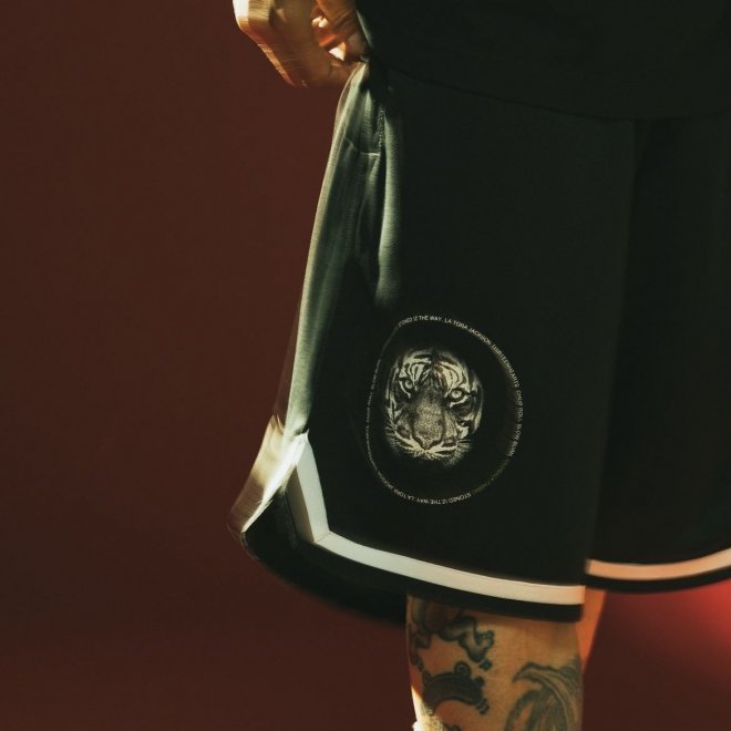 <img class='new_mark_img1' src='https://img.shop-pro.jp/img/new/icons7.gif' style='border:none;display:inline;margin:0px;padding:0px;width:auto;' />Back Channel raidback fabric GAME SHORTS