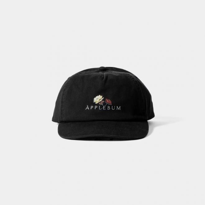 <img class='new_mark_img1' src='https://img.shop-pro.jp/img/new/icons7.gif' style='border:none;display:inline;margin:0px;padding:0px;width:auto;' />APPLEBUM åץХ UTOPIA LOGO CAP 1