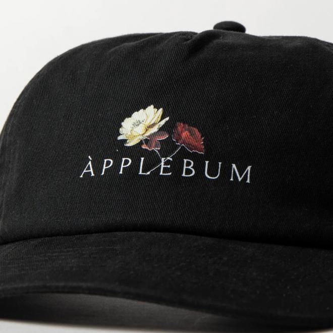 <img class='new_mark_img1' src='https://img.shop-pro.jp/img/new/icons7.gif' style='border:none;display:inline;margin:0px;padding:0px;width:auto;' />APPLEBUM åץХ UTOPIA LOGO CAP