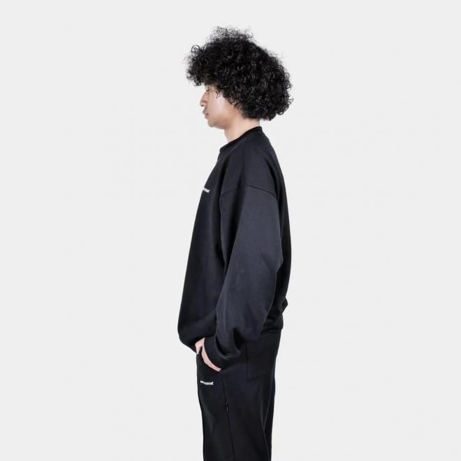 <img class='new_mark_img1' src='https://img.shop-pro.jp/img/new/icons7.gif' style='border:none;display:inline;margin:0px;padding:0px;width:auto;' />APPLEBUM åץХ LOGO CREW SWEAT