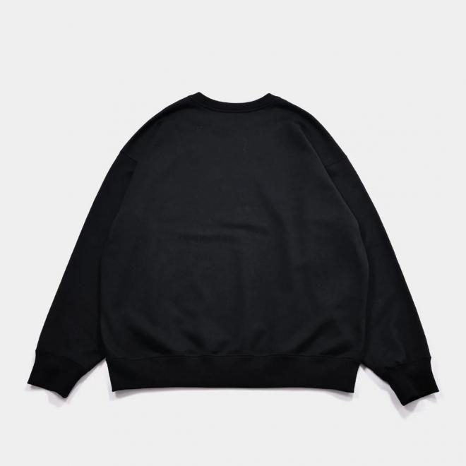 <img class='new_mark_img1' src='https://img.shop-pro.jp/img/new/icons7.gif' style='border:none;display:inline;margin:0px;padding:0px;width:auto;' />APPLEBUM åץХ LOGO CREW SWEAT