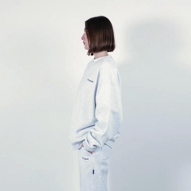<img class='new_mark_img1' src='https://img.shop-pro.jp/img/new/icons7.gif' style='border:none;display:inline;margin:0px;padding:0px;width:auto;' />APPLEBUM åץХ LOGO CREW SWEAT