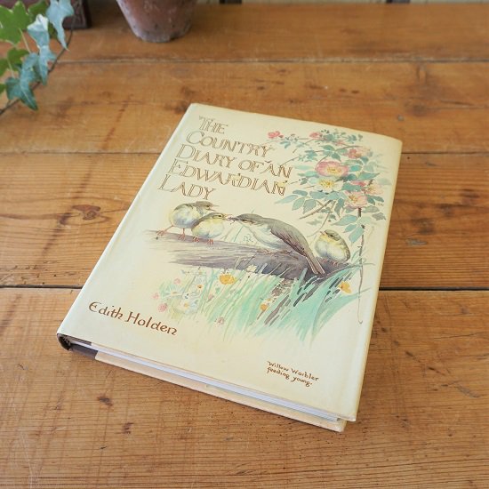イギリス 古書 The Country Diary Of An Edwardian Lady １９７７年 ボタニカルイラスト 野草 野鳥 水彩画 Drop Antiques ドロップアンティークス アンティーク家具と雑貨