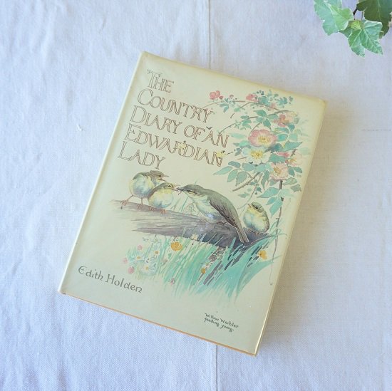 イギリス 古書 The Country Diary Of An Edwardian Lady ボタニカルイラスト 野草 野鳥 水彩画 Drop Antiques ドロップアンティークス アンティーク家具と雑貨