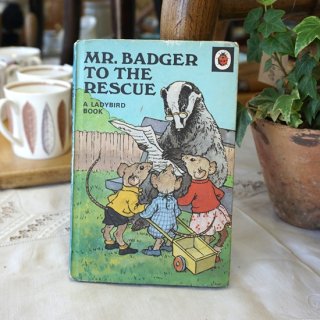 イギリス　ヴィンテージ　絵本　LADYBIRD BOOK 「MR.BADGER TO THE RESCUE」　６０年代後半