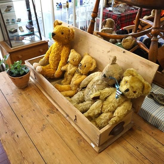 イギリス ヴィンテージ ぬいぐるみ テディベア きょとんとした表情が