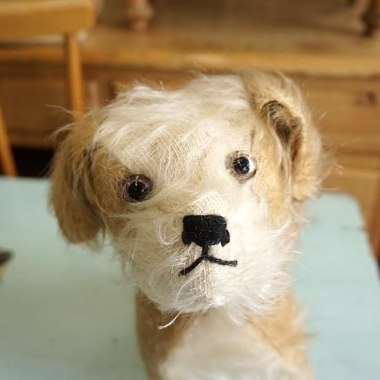 イギリス ヴィンテージ ぬいぐるみ テディベア 白茶毛長の子犬 お座り