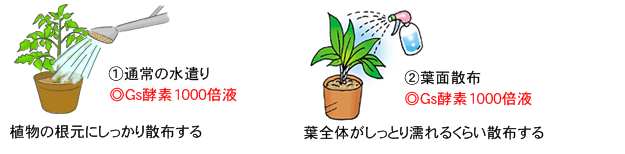 657円 【激安セール】 植物活性液Gs酵素 1L