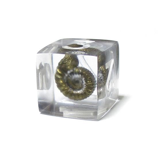 アンモナイト　約32cm 縫合線の美しいアンモナイト051｜恐竜・化石グッズの専門店 ふぉ