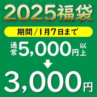 2025ʡޡ3,000ʡޡ