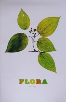 Nick Knight / Flora - Thursday Books