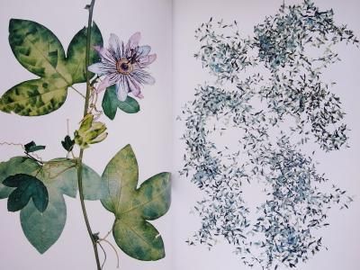 Nick Knight / Flora - Thursday Books