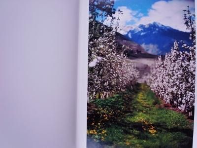 テリ・ワイフェンバック Terri Weifenbach / Lana - Thursday Books