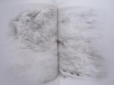 ステファヌ・マラルメ「骰子一擲」 骰子一擲 改訂版 / ステファヌ・マラルメ 秋山澄夫訳 [28282