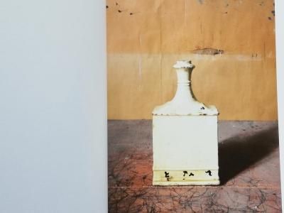 Joel Meyerowitz / Morandi's Objects - Thursday Books