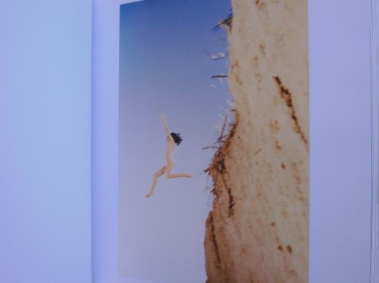 ライアン・マッギンレー Ryan McGinley / Whistle for the Wind