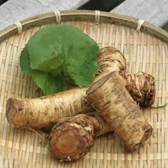 山わさび JA池田高島 - 十勝のコロッケ・どろぶたメンチカツの通販・お