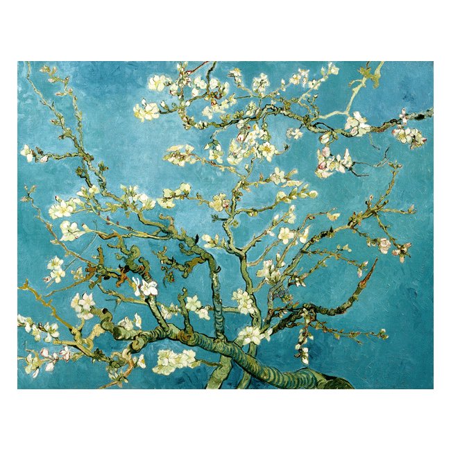ヴィンセント・ヴァン・ゴッホ「花咲くアーモンドの枝」 ３号～100号