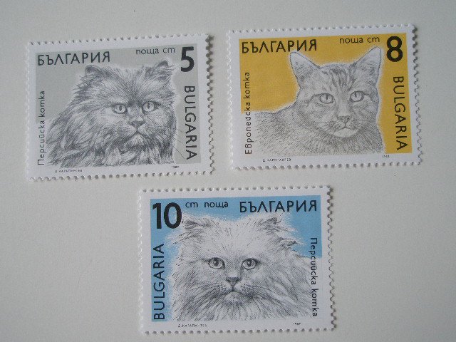 ブルガリア 切手 1989 ネコ 猫 3825 - ブルガリア雑貨　コキーチェ