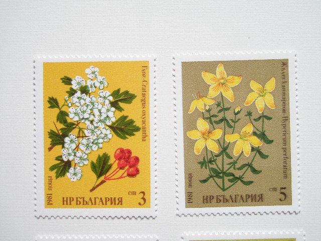返品送料無料 ブルガリア切手 1981年 薬草 ６種