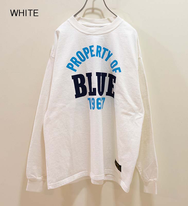 SOUTHERN MFG CO. BLUEBLUE PROPERTY OF BLUE LS Tシャツ men 1000826