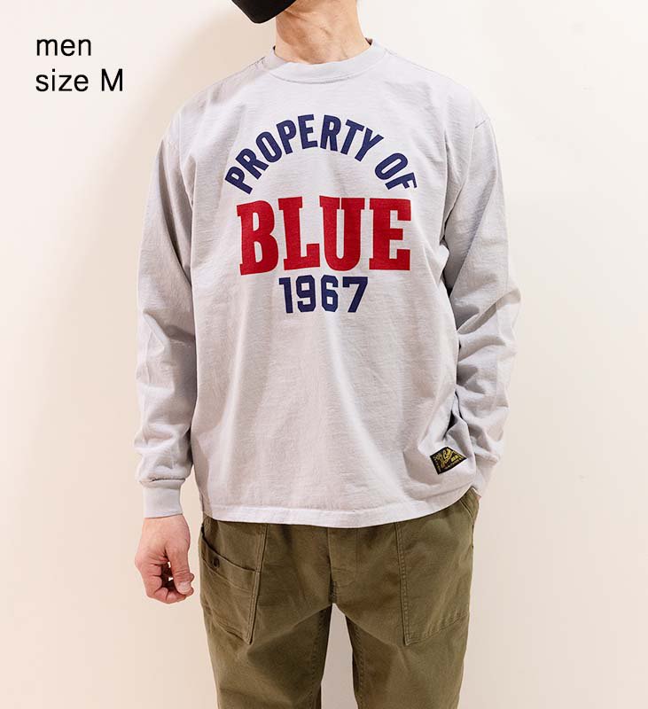 SOUTHERN MFG CO. BLUEBLUE PROPERTY OF BLUE LS T