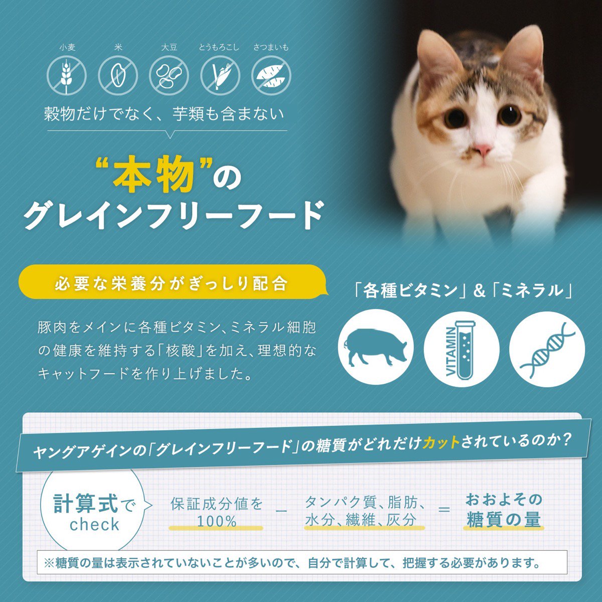 ヤングアゲインゼロ マチュアヘルス グレインフリー ハイプロテイン プレミアム キャットフード 11.3kg 動物性タンパク質 注文 54% 炭水