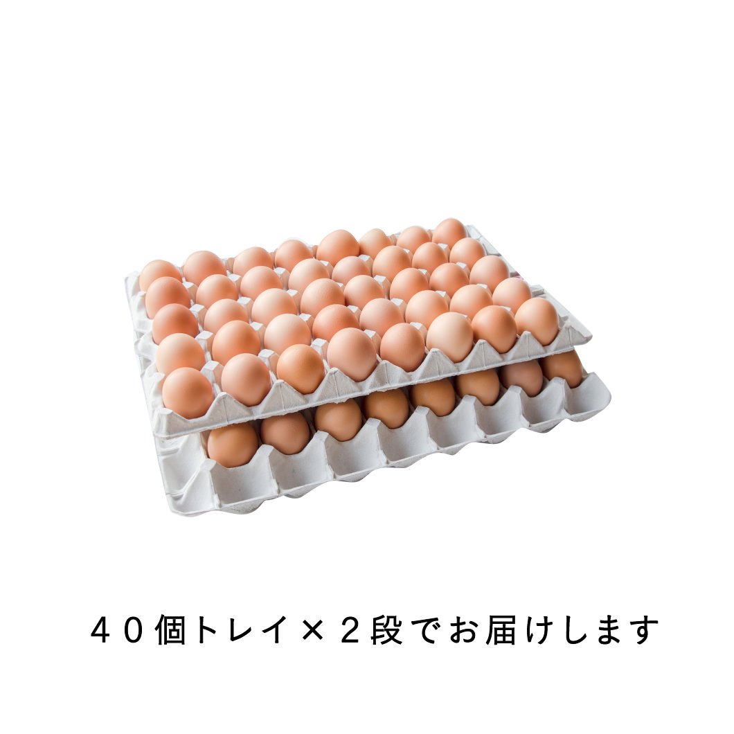 マリコト様専用 平飼い卵80個（食用） instrumentosdemedicion.com.ec