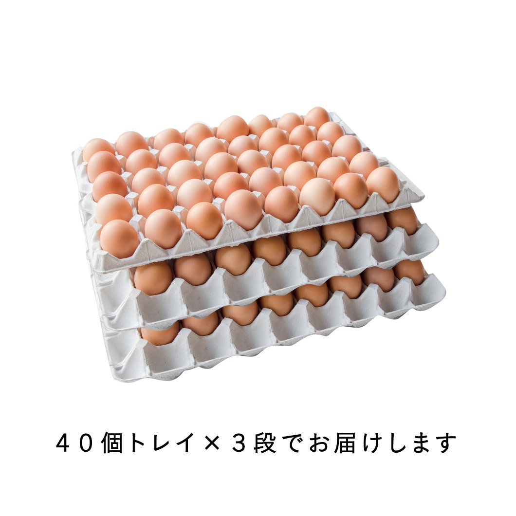 平飼い卵50個6 28常温発送まーたん様専用 - 通販 - iprevimnovaresende