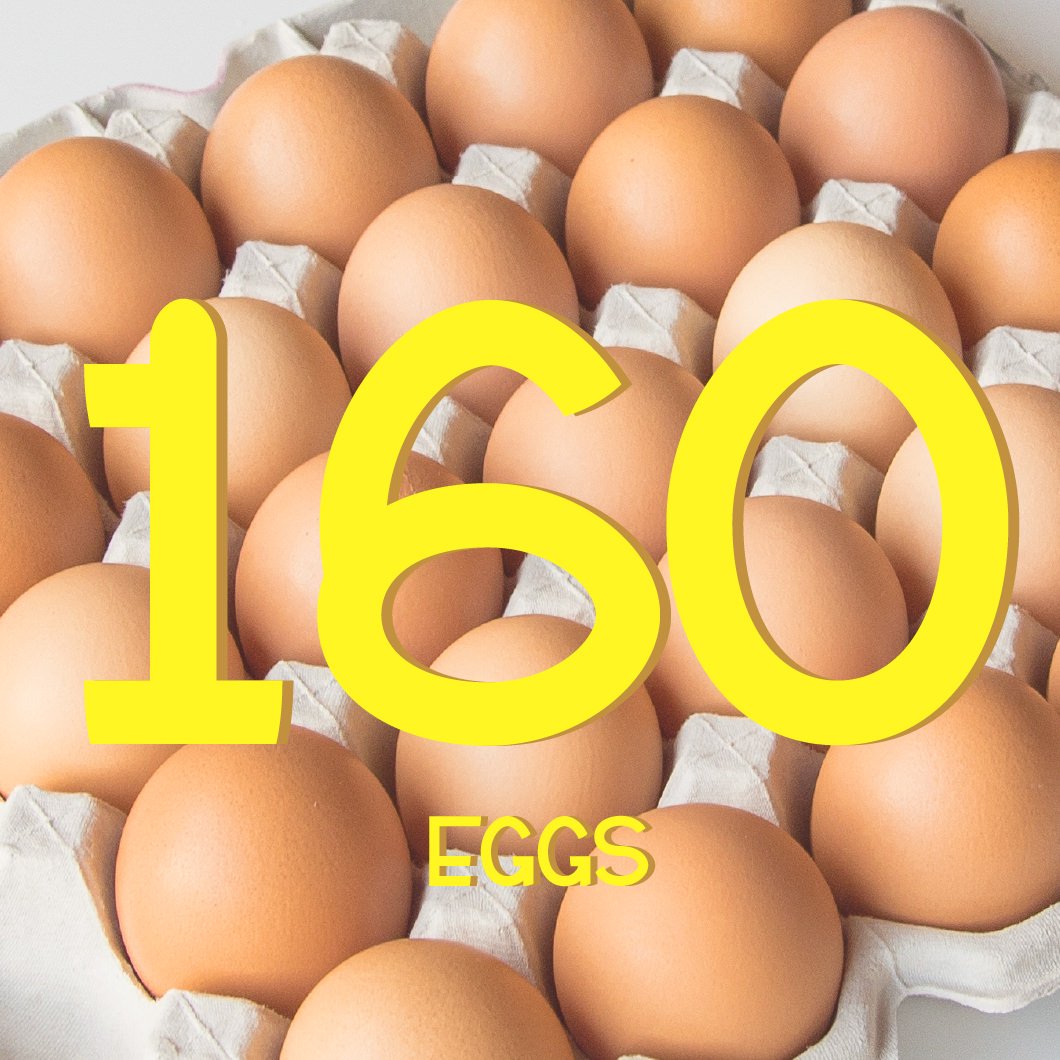 珍しい 160個入り 宮下養鶏の朝採れ平飼い卵 | www.barkat.tv
