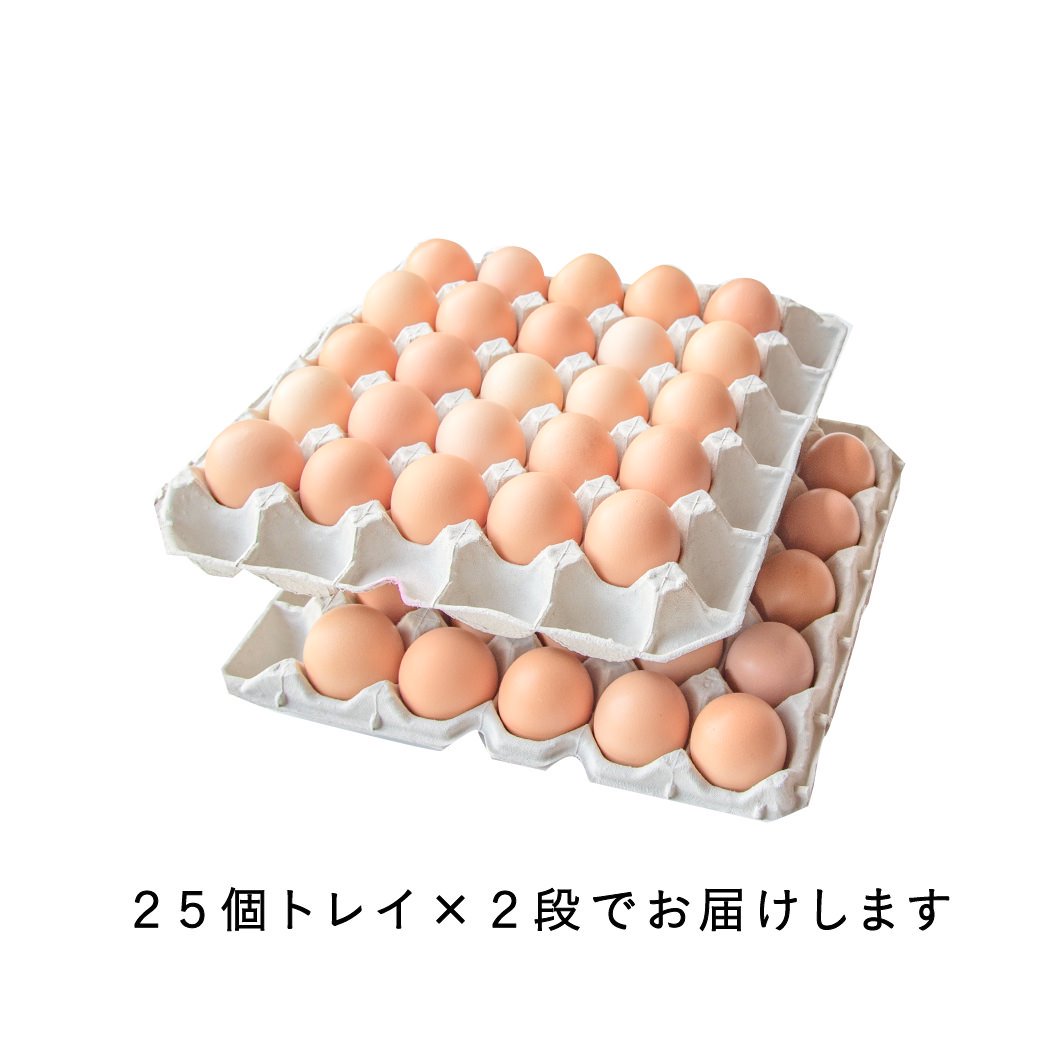 ★☆縁起物★☆初産み卵50個　朝採れ　平飼い　あすなろ卵鶏　期間限定
