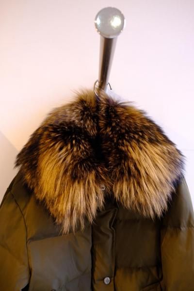 ���������դ������󥸥㥱�å�