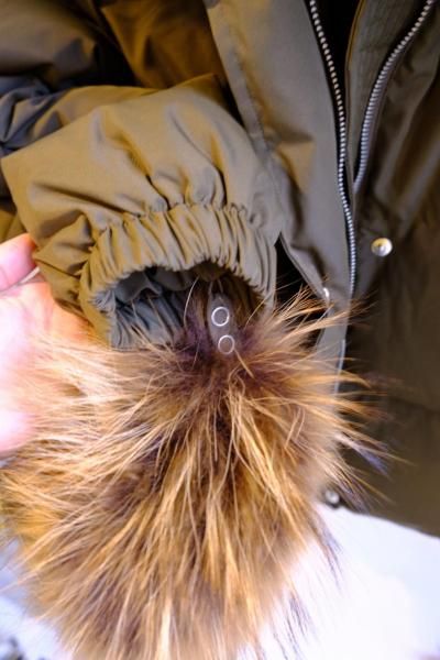 ���������դ������󥸥㥱�å�