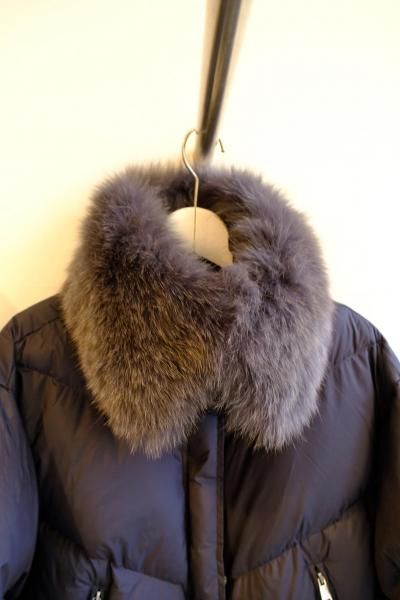 FOX�ե����ޥե顼�դ����硼