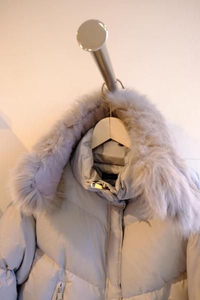 FOX�ե����ޥե顼�դ����硼