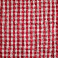 <img class='new_mark_img1' src='https://img.shop-pro.jp/img/new/icons5.gif' style='border:none;display:inline;margin:0px;padding:0px;width:auto;' />Linen gingham check