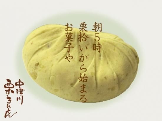 栗きんとん 10個入 10箱セット 大特価！｜七福｜中津川栗きんとん