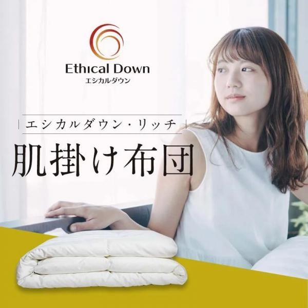 ��������������å���ȩ�ݤ�����FP800�ڡ�������������